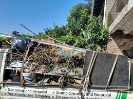 Junk Removal for Events in Winthrop, MN